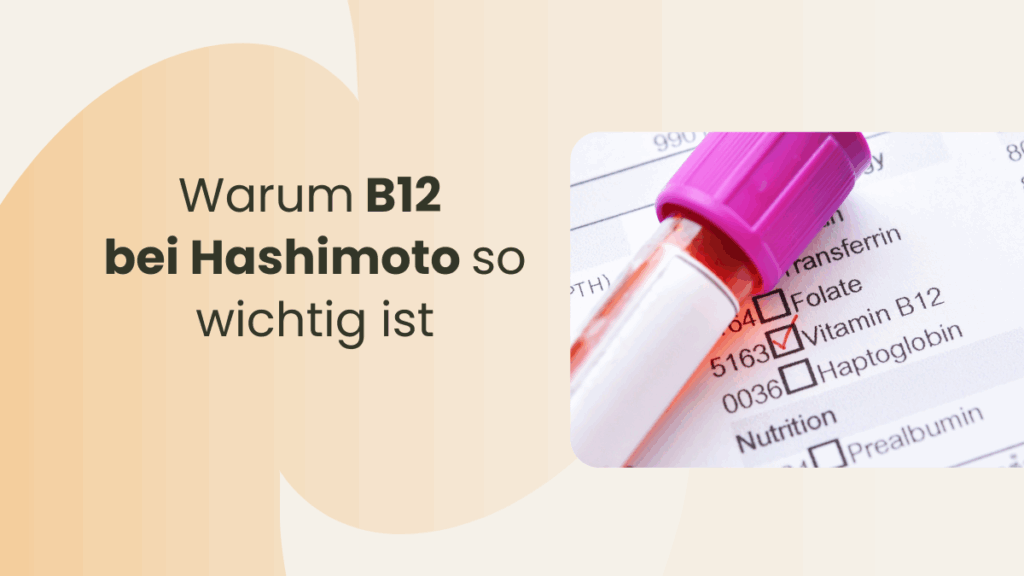 Vitamin B12 bei Hashimoto